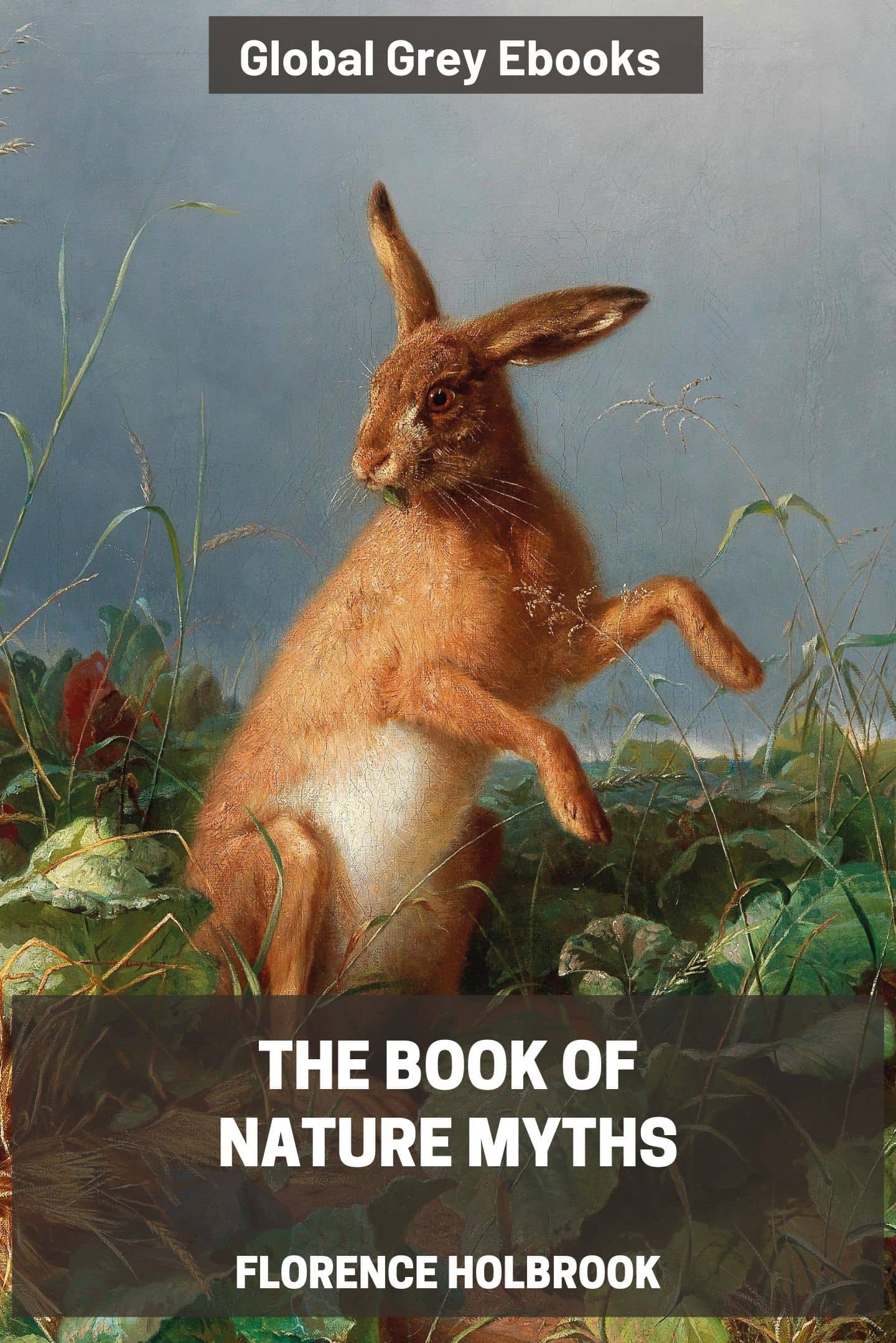 The Book of Nature Myths