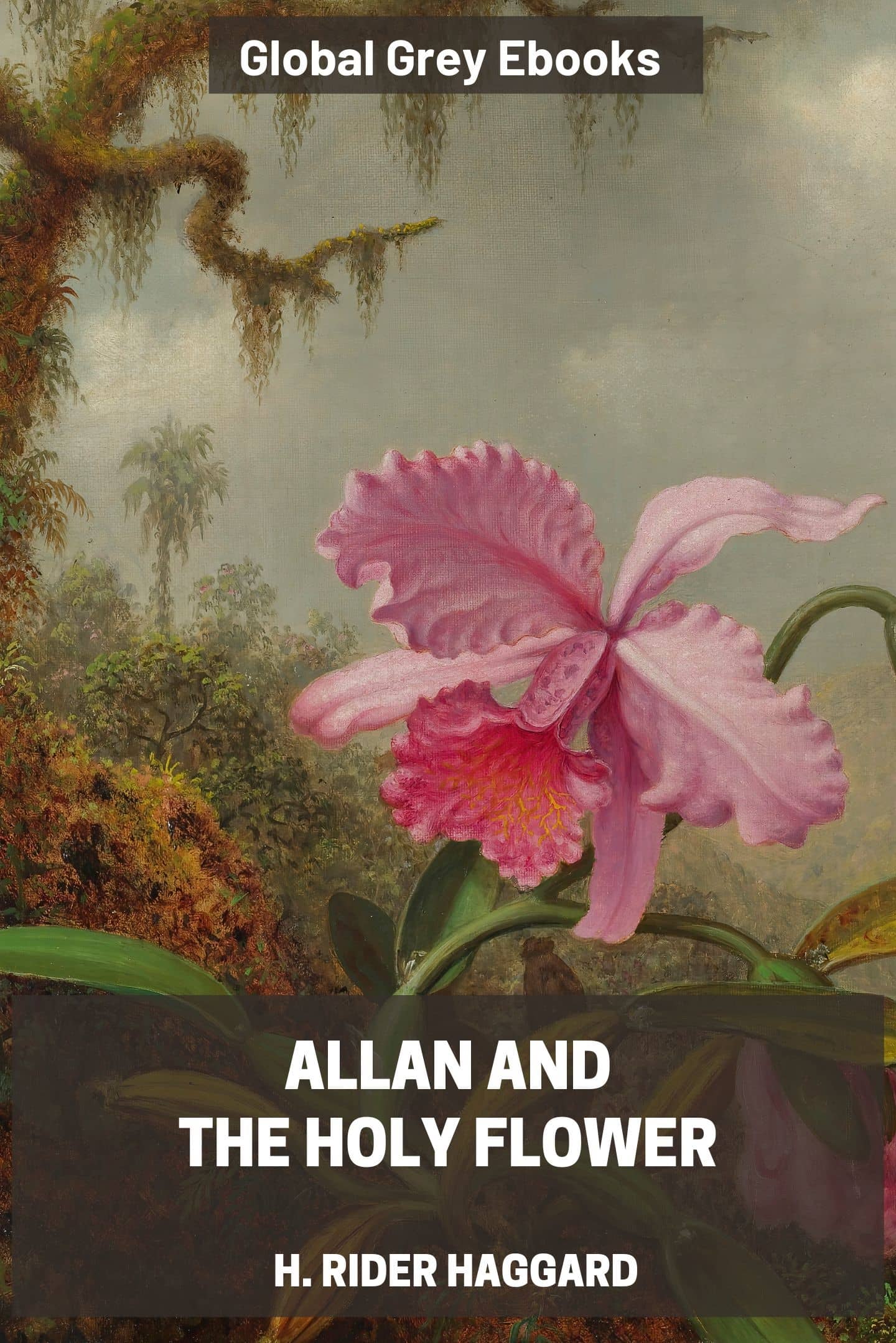 Allan and the Holy Flower