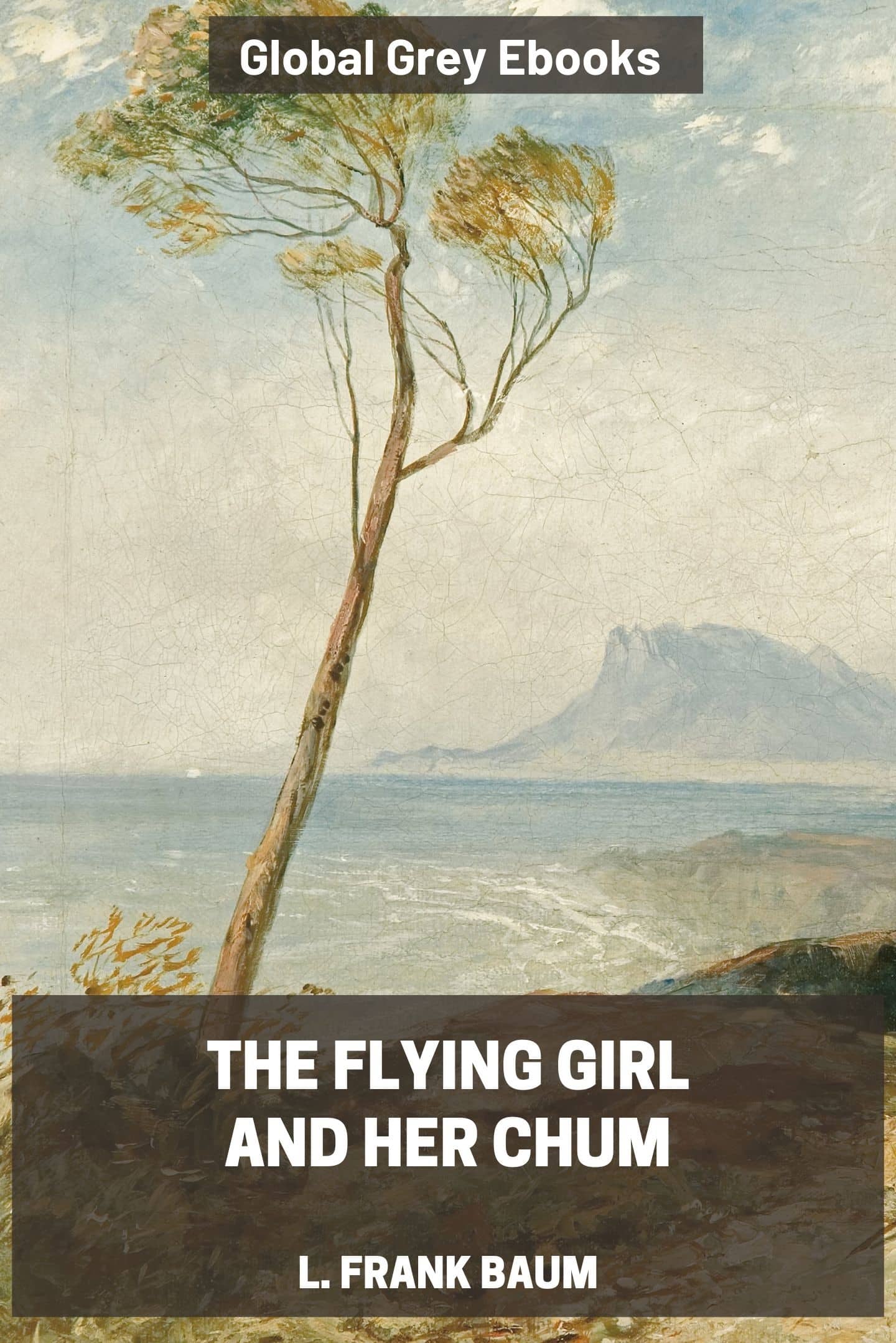 The Flying Girl and Her Chum